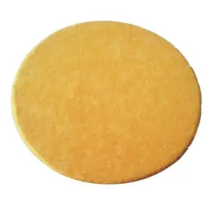 Bournas Medicals Physiotherapy Suction Sponge PG926/56