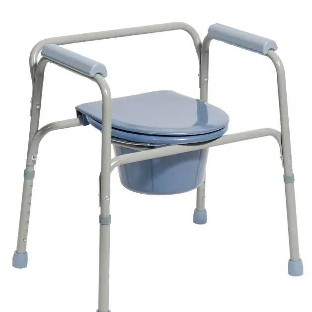 Fixed Toilet