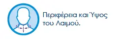 Κολάρο Αυχένα 2σε1 Μαλακό & Ημίσκληρο | PRIM | L/High